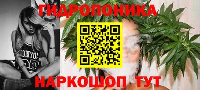 PSILOCYBIN Ипатово