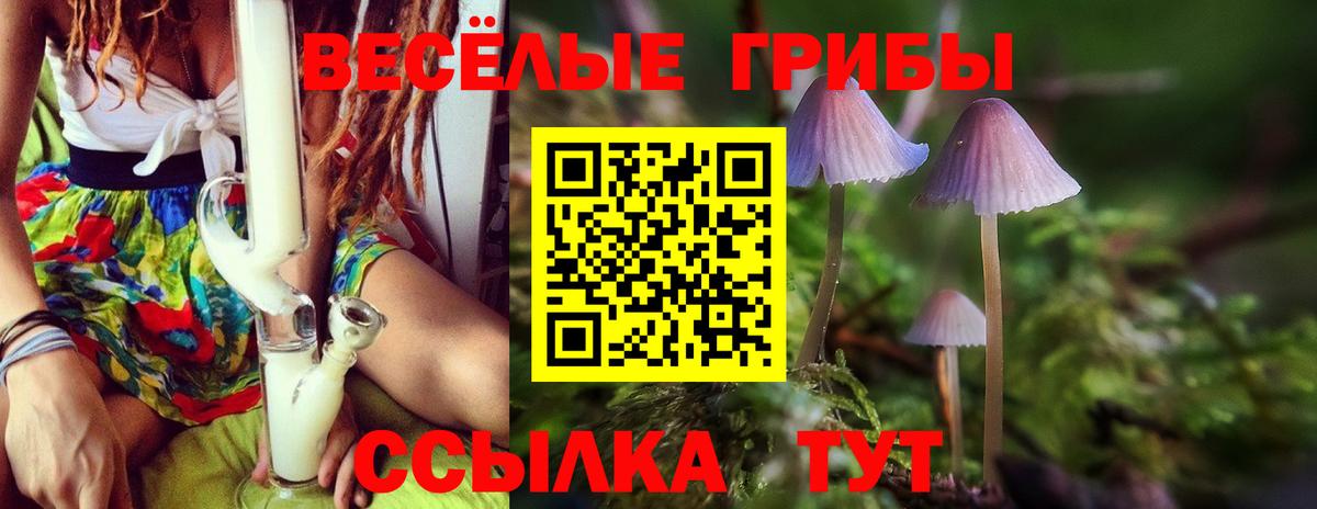 Галлюциногенные грибы Psilocybine cubensis Южноуральск
